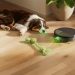 Um cão deitado no chão de uma sala moderna enquanto um robot aspirador limpa discretamente ao fundo.