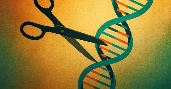 CRISPR corta colesterol em 50% – Terapia genética promete revolucionar o tratamento cardiovascular