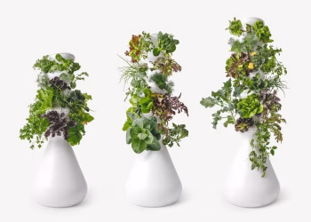 Lettuce Grow Farmstand hidroponia doméstica