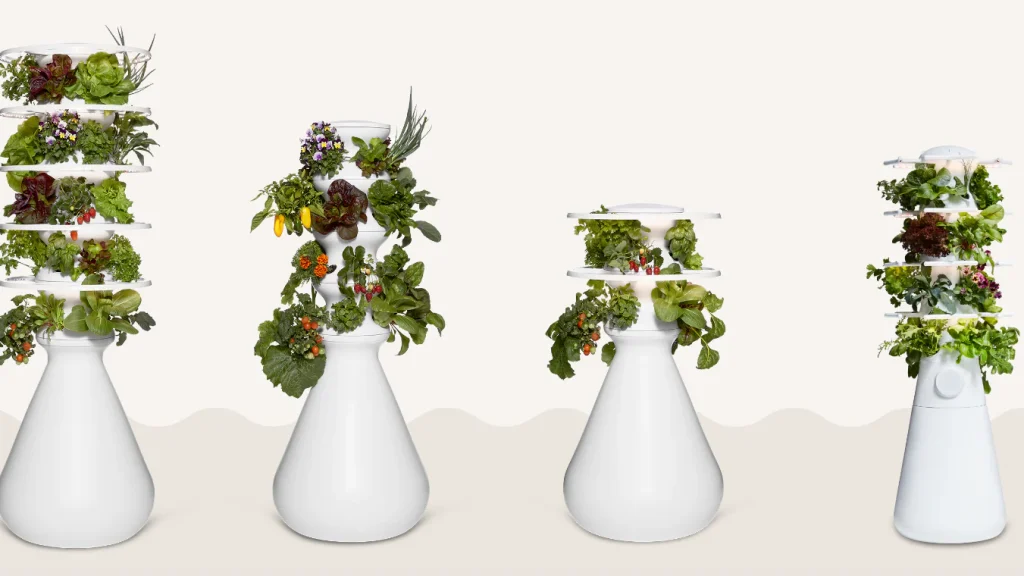 Lettuce Grow Farmstand b