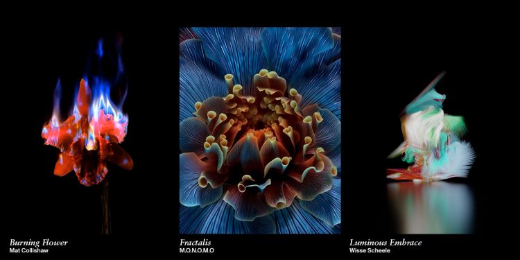 LG Gallery+ integra obras de arte digital da Sedition em LG Smart TVs