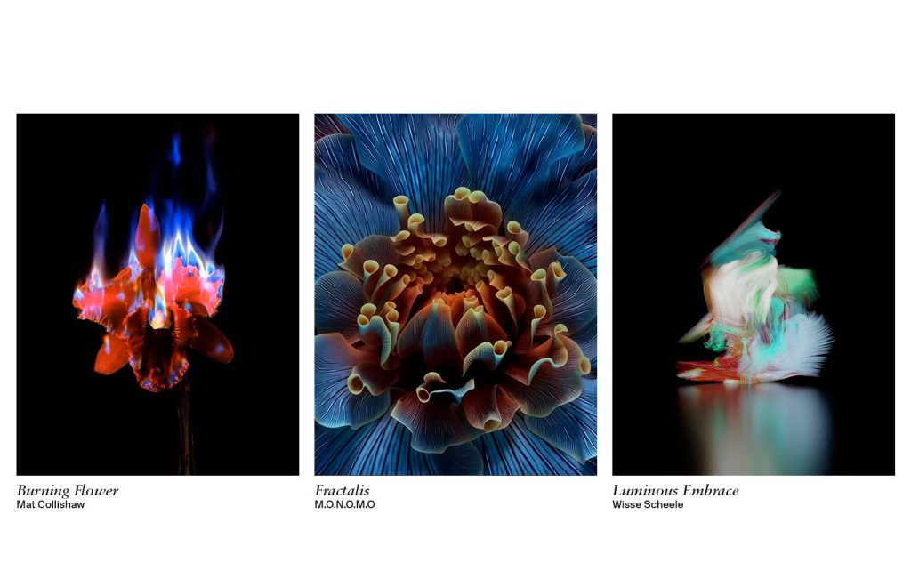 LG Gallery Sedition W