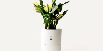 LeafyPod smart planter com aplicação móvel