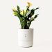 LeafyPod Smart Planter: quando as plantas nos respondem 3 LeafyPod smart planter com aplicação móvel