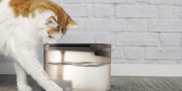 Ufesa Pet Care produtos tecnologia para animais de estimação