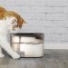 Ufesa Pet Care: tecnologia para animais entra em força no quotidiano português 4 Ufesa Pet Care produtos tecnologia para animais de estimação