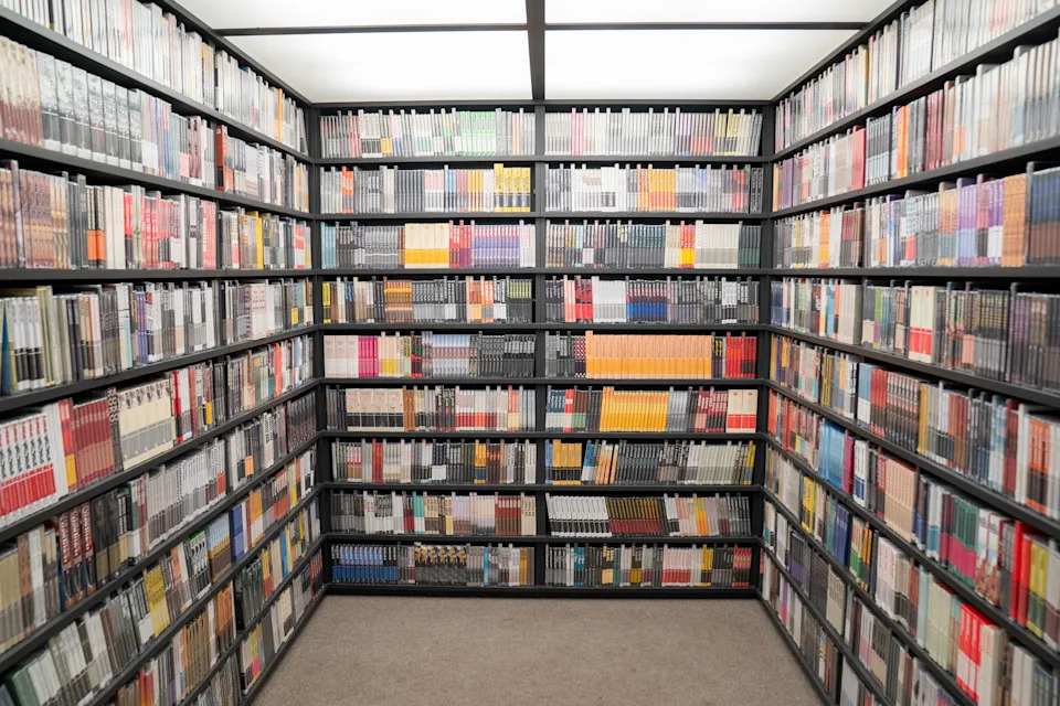 Blu ray criterion mobile closet 1