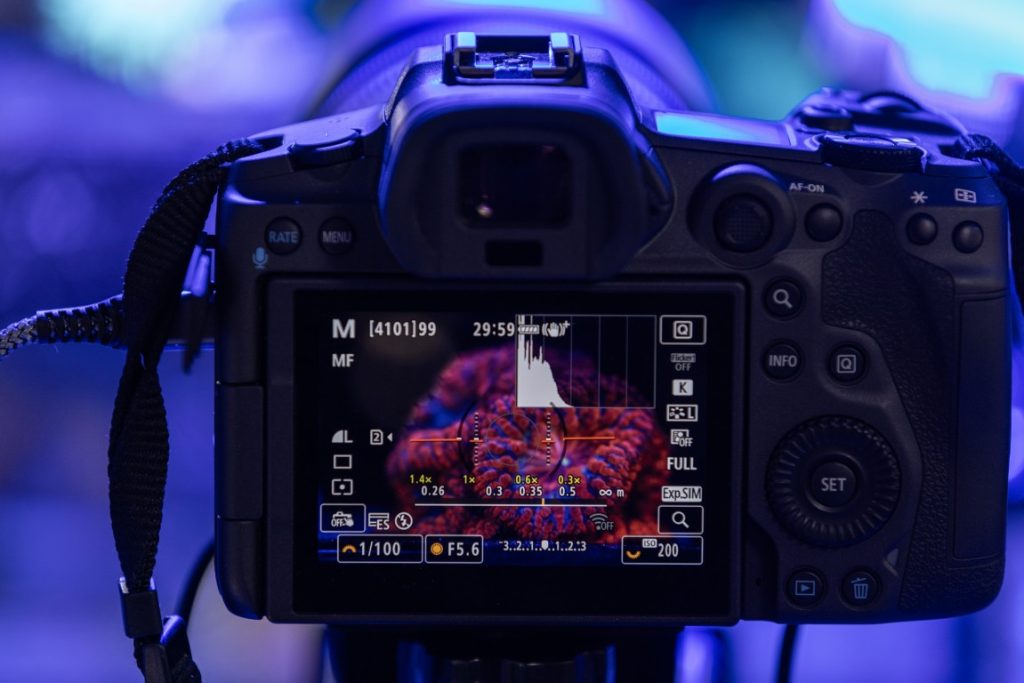Canon Imagem 3